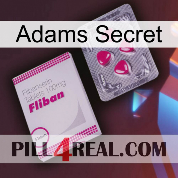 Adams Secret 32.jpg